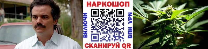 Наркошоп купить Галлюциногенные грибы  Каннабис  Альфа ПВП  Меф мяу мяу  Гашиш  Кандалакша