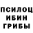 Галлюциногенные грибы мухоморы Kyle Simard