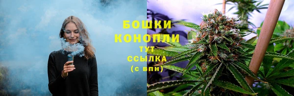 дмт Дмитров