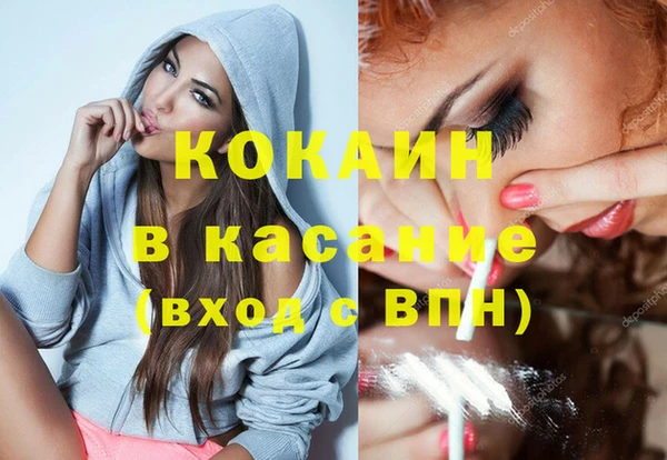 дмт Дмитров