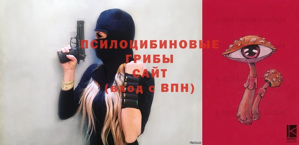 дмт Дмитров