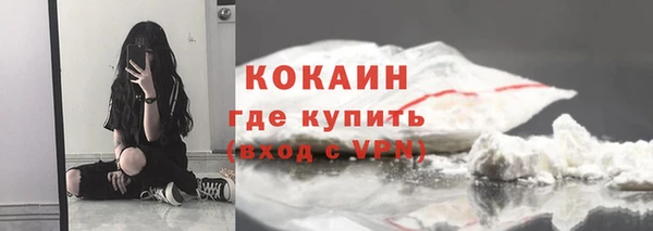 дмт Дмитров