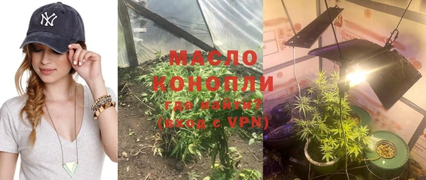 дмт Дмитров