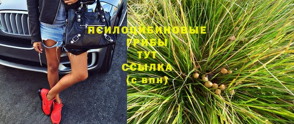 apvp Дмитриев