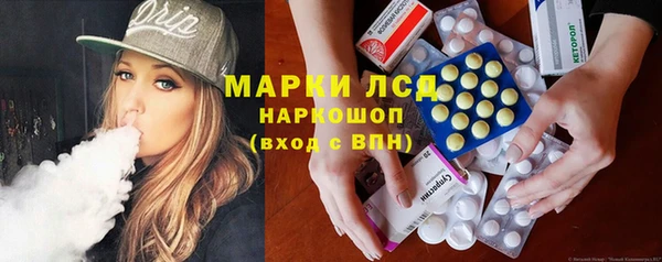 apvp Дмитриев