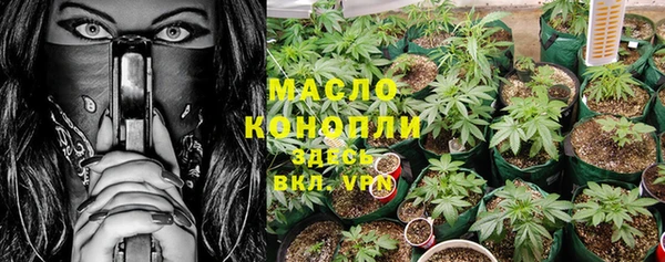 дмт Дмитров