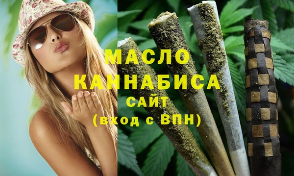 дмт Дмитров
