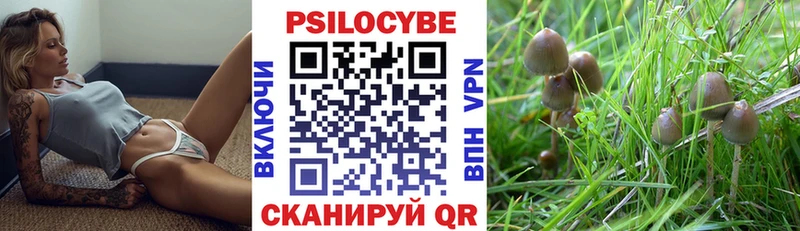 Купить где  Кандалакша  Псилоцибиновые грибы мухоморы 